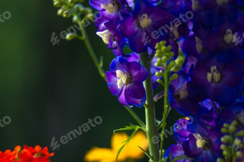 Preview: A Bouquet Of Bright Spring Flowers Of Various Types