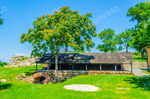 Preview: A Single Tree On A Hill Overlooking Plovdiv City In Bulgaria