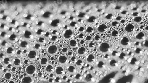 Preview: Black And White Water Drops Inside The Greenhouse - Condensation On Plastic Surface