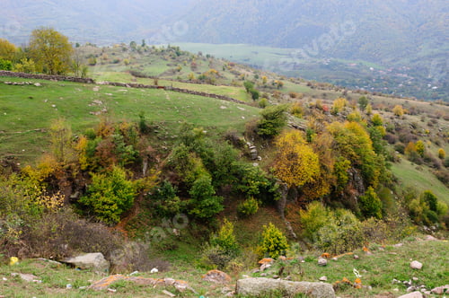 Preview: Autumn Landscape