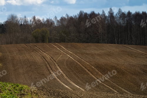 Preview: Processed Cereal Fields In Spring