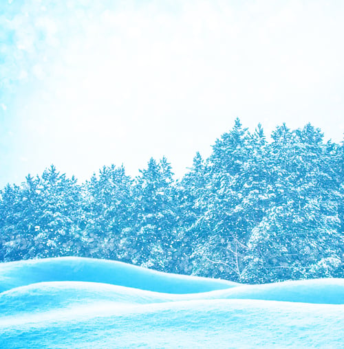 Preview: Frozen Winter Forest With Snow Covered Trees.