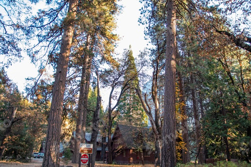 Preview: Tourist Area With Houses And Cars In Yosemite National Park. Usa, California, November 2018