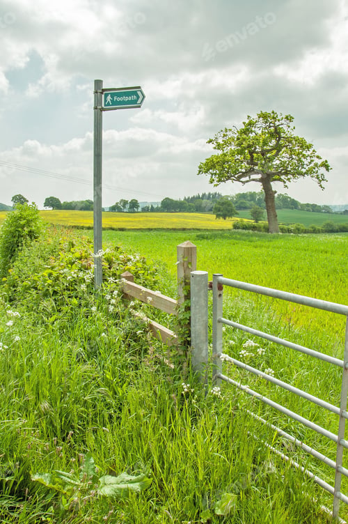 Preview: Countryside Scenery In The United Kingdom Countryside.