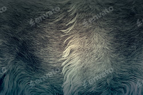 Preview: Animal Skin With Hair