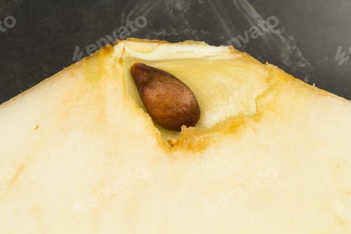 Preview: Apple Slice And Seed Texture