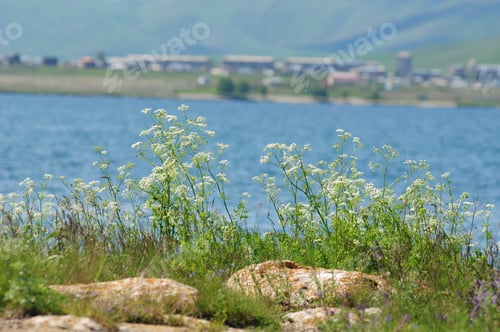 Preview: Nature Landscape