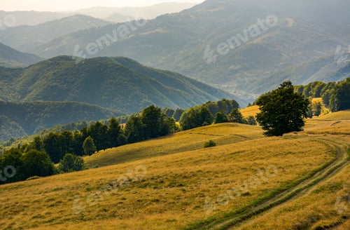 Preview: Countryside Road Through Grassy Hill. Rural Transportation Concept. Lovely Summer Landscape In