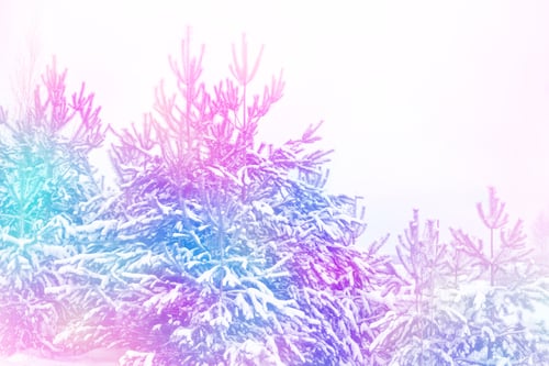 Preview: Frozen Winter Forest With Snow Covered Trees.
