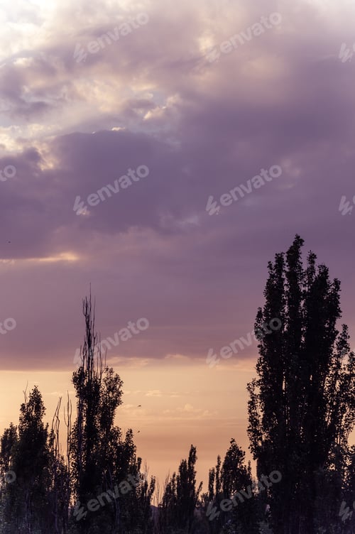 Preview: Landscape With Dramatic Light - Beautiful Golden Sunset With Saturated Sky And Clouds.