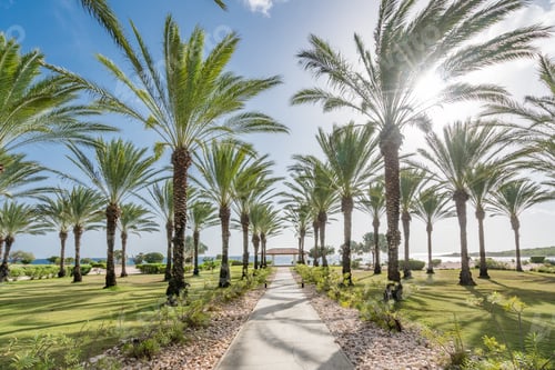 Preview: Curacao Views A Small Caribbean Island In The Dutch Antilles