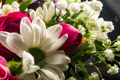 Preview: Background For A Greeting Card - Beautiful Gift Bouquet Of Various Blooming Bright Colorful