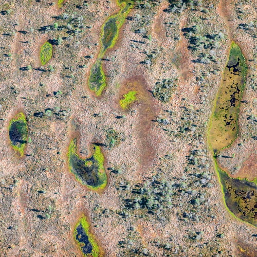 Preview: Aerial View Over The Swamp And Vegetation