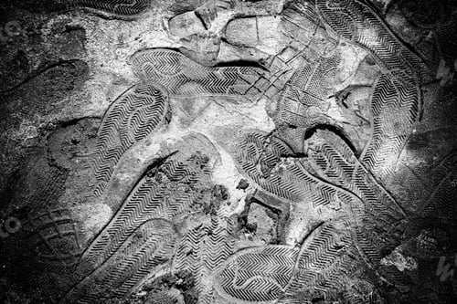 Preview: Footprints In The Mud, Detail Of A Shoe Brands