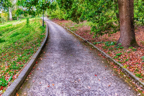 Preview: Scenic Trail Surrounded By Nature Inside A Public Park In The City Centre Of Rome, Italy