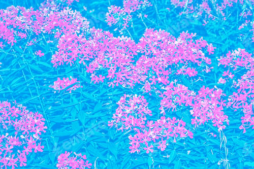 Preview: Blurred Image Of Grass. Summer Colorful Abstract Background.