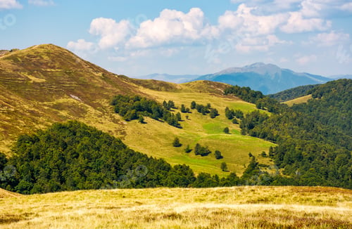 Vorschau: Grasbewachsene Hügel mit Wald und hohem Gipfel in der Ferne. Wunderschöne Naturlandschaft im schönen Frühherbst