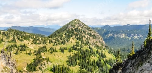 Preview: Mount Rainier Peaking Through The Clouds And The Surrounding Forest.