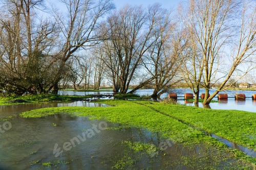 Preview: Flooded River Bank Background Image