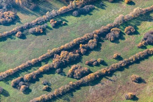 Preview: Aerial View Over The Colourful Trees And Fields In Autumn
