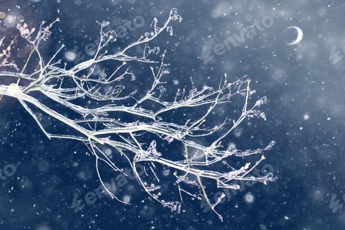 Preview: Frozen Winter Forest With Snow Covered Trees. Outdoor. Festive Christmas Card.