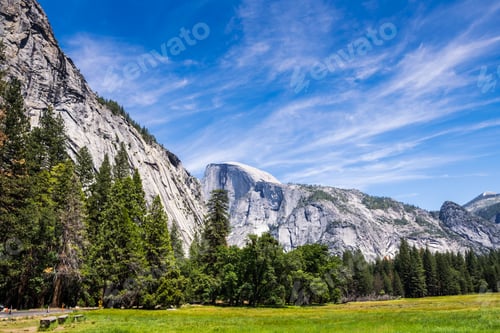 Preview: Wild Nature Of Yosemite National Park