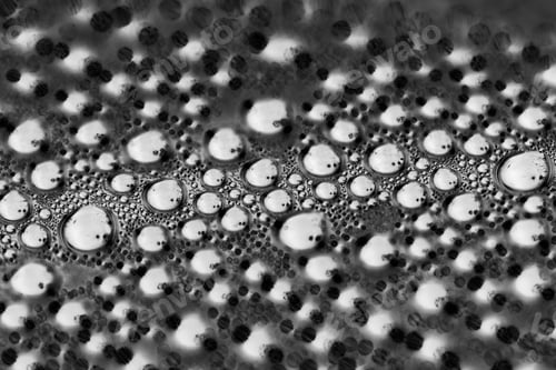 Preview: Black And White Water Drops Inside The Greenhouse - Condensation On Plastic Surface - Inverted