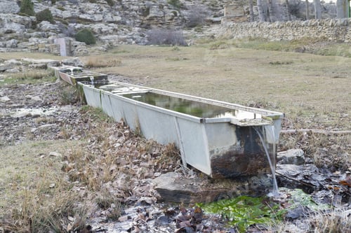 Preview: Livestock Waterer.