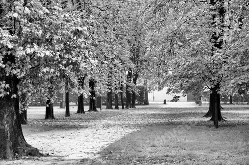 Preview: Parma, Italy - Emilia-Romagna Region. Ducale Park - Autumn View With Chestnut Trees.