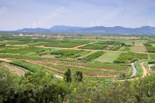 Preview: Neretva Delta Agricultural Landscape, Croatia. Fruit Orchards And Irrigation Canals.