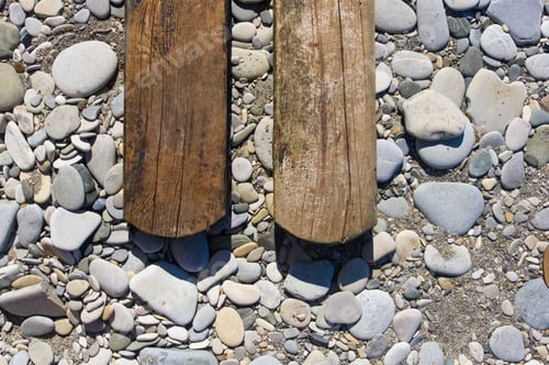 Preview: Driftwood, Washed Up By The Sea On A Pebble Beach On A Warm Summer Day