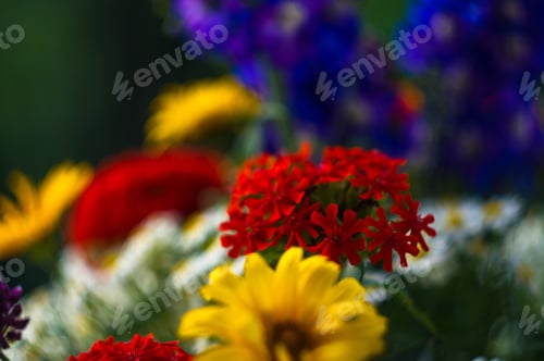 Preview: A Bouquet Of Bright Spring Flowers Of Various Types