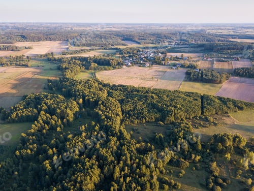 Preview: Wild Forest Landscape Photographed From Drone. Aerial View Of European Forest And Meadows.