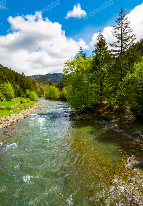 Preview: River Flows Among Of A Green Forest At The Foot Of The Mountain. Picturesque Nature Of Rural Area