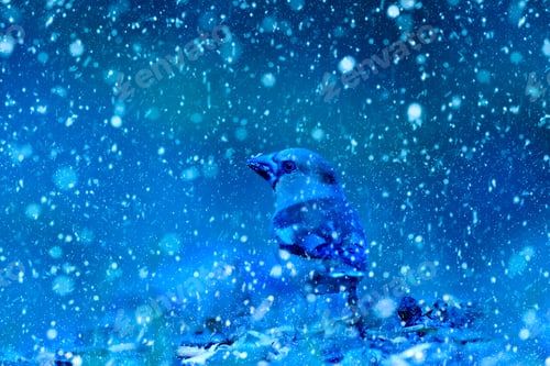 Preview: Winter Season And Birds. Falling Snow. Blue Nature Background.
