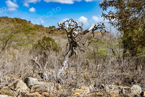 Preview: Washington Slagbaai National Park -Views Around The Caribbean Island Of Bonaire In The Abc Islands