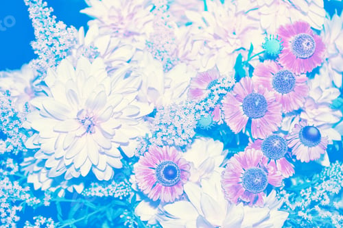 Vista previa: Bouquet Of Autumn Flowers Dahlias And Marigolds.