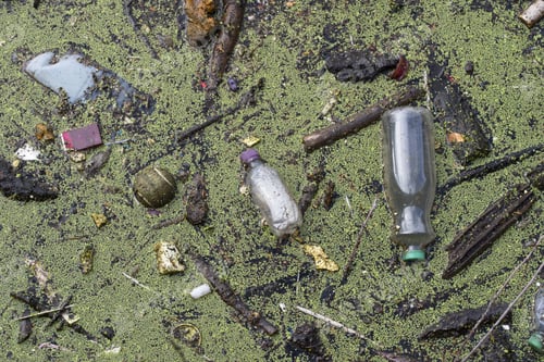 Preview: Polluted Water With Floating Rubbish
