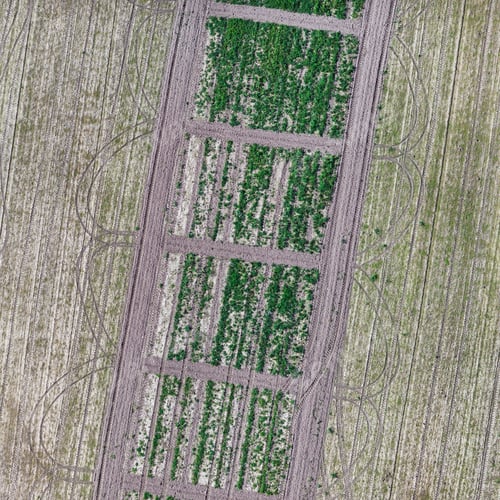 Preview: Aerial View Over The Rural Fields