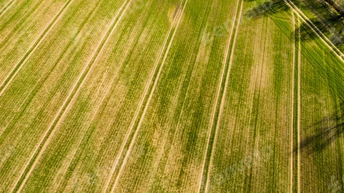 Preview: Drone Image. Aerial View Of Rural Area With Freshly Cultivated Fields In Sunny Spring Day. Latvia