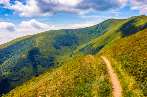 Preview: Winding Road Through Large Meadows On The Hillside Of Carpathian Mountain Range