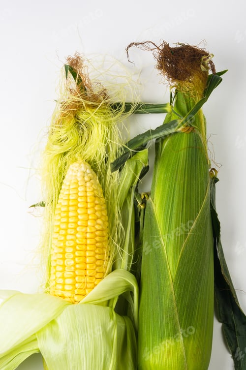 Preview: Fresh Corn On Cobs On Wooden Background, Closeup