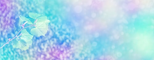 Preview: Natural Background. Young Green Leaves. Spring Landscape.
