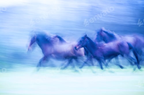 Preview: Running Wild Horses. Motion Blur Background. Abstract Nature And Animals Photos.
