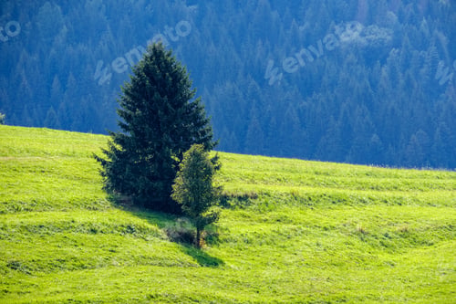 Preview: Multi Level Fields And Forests In Mountain Area. Slovakia. Mist Over Trees And Meadows