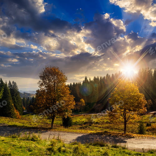 Preview: Asphalt Road Going Through Green Meadow With Trees Near Autumn Forest With Foliage On Hill