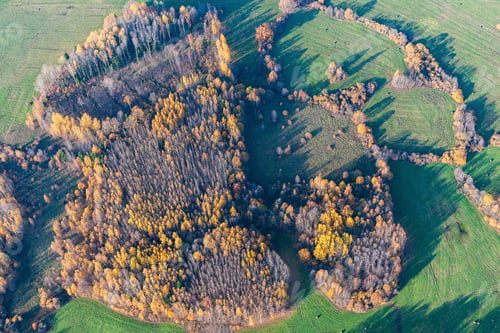 Preview: Aerial View Over The Colourful Trees And Fields In Autumn
