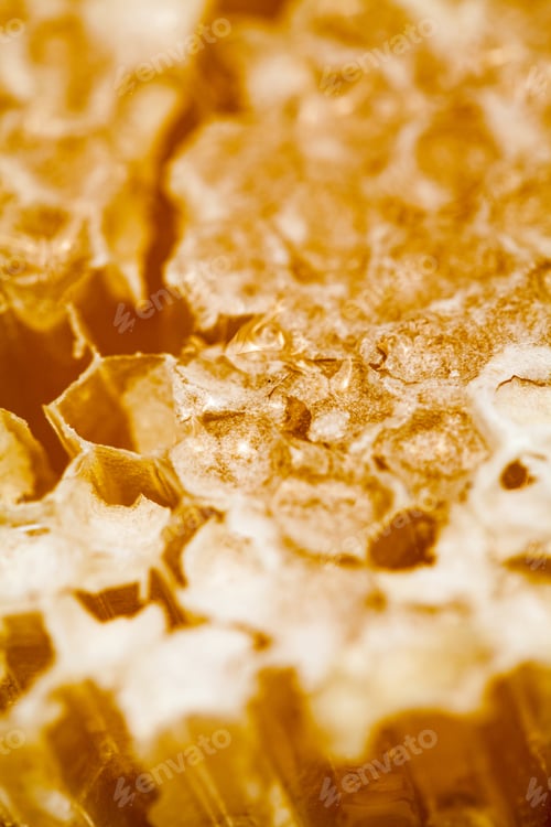 Preview: Honeycomb Filled With Honey - Details