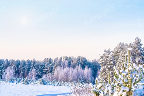 Preview: Frozen Winter Forest With Snow Covered Trees.