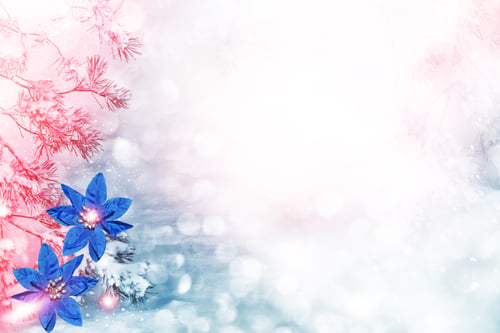 Preview: Snow Covered Trees. Festive Christmas Composition. Card.